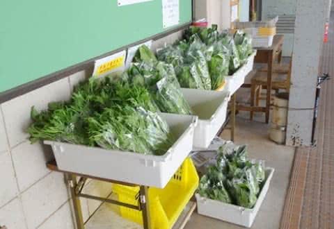 写真：無料野菜スタンドに並んだ葉物野菜