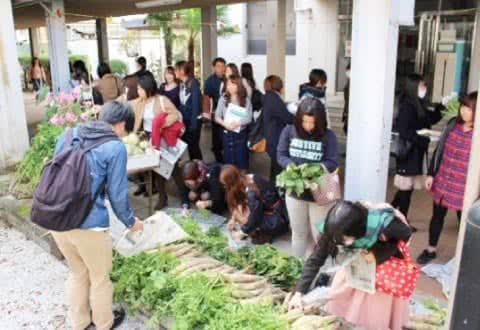 写真：無料野菜スタンドに多くの学生が集まっている風景