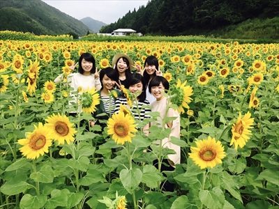 写真：フィールドワークでひまわり畑を視察する6人の学生
