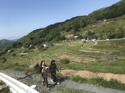写真：上山地区の棚田の風景と学生