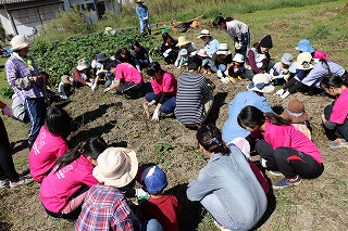写真：畑で芋掘りをする学生と親子