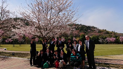 桜の木の下撮影した集合写真