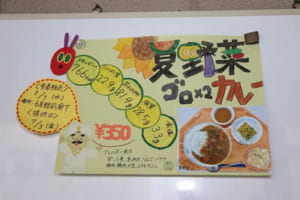 夏野菜ゴロゴロカレーのポスター