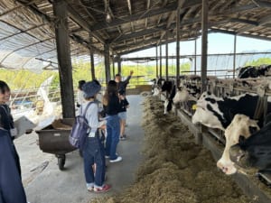 牧場見学の様子