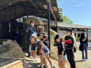 牧場見学の様子