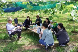 ブドウ剪定作業の様子