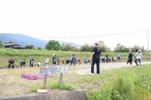 田植えの様子
