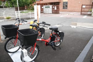 ごんちゃりの様子