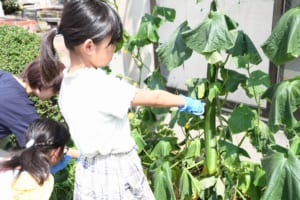 食育教室の様子