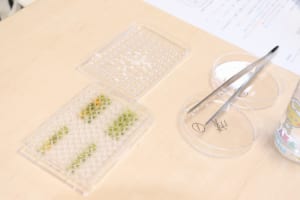 オープンキャンパスの様子
