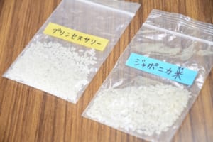 授業の様子