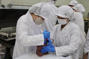 研究の様子