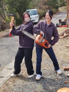 倭文西さんぽ木こり
