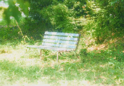 自然の中、木のベンチの写真