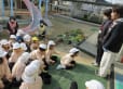 コスモスクラブさんとパンジーを植えました！