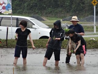 田植えの写真