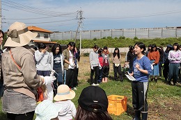 芋掘り・収穫祭の写真