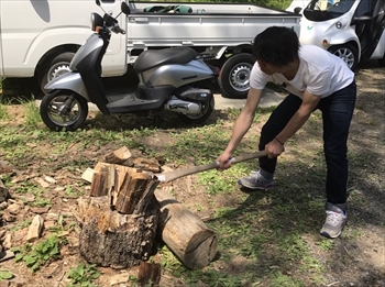 上山に学ぼの写真